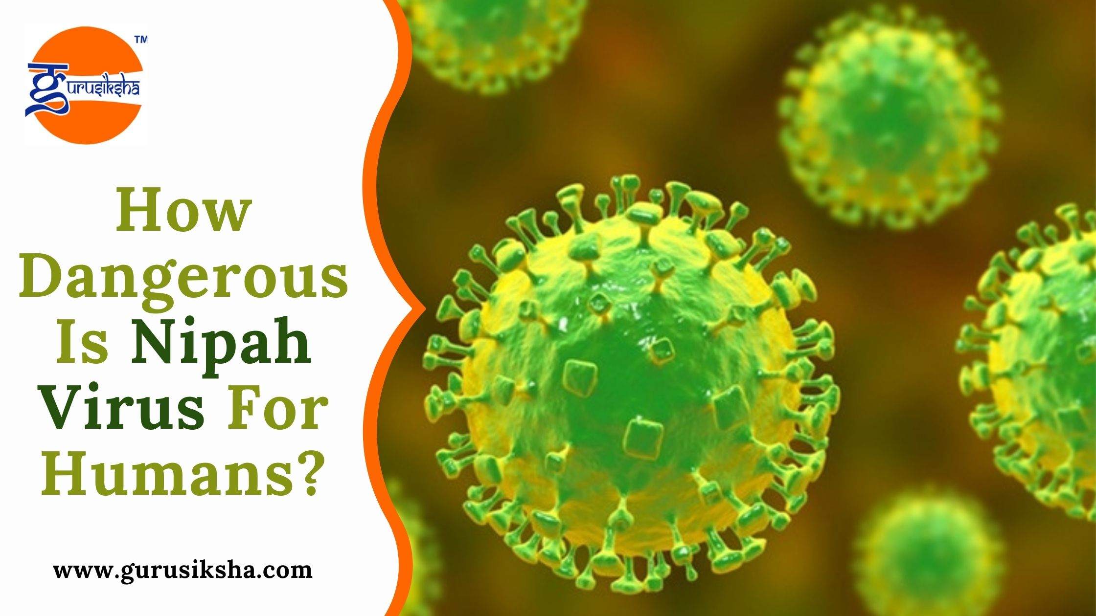 How Dangerous Is Nipah Virus For Humans?